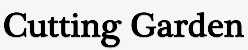 Sun Shine Floral, transparent png #4967077