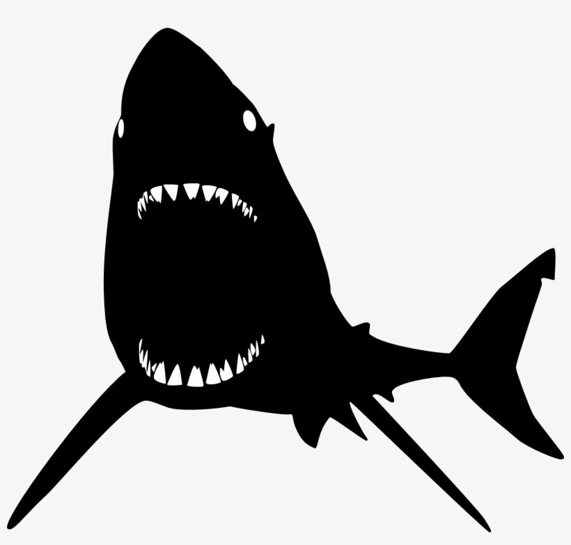 Black And White Shark Png, transparent png #4967886