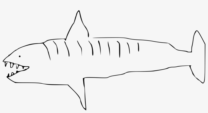 Open - Tiger Shark, transparent png #4968048