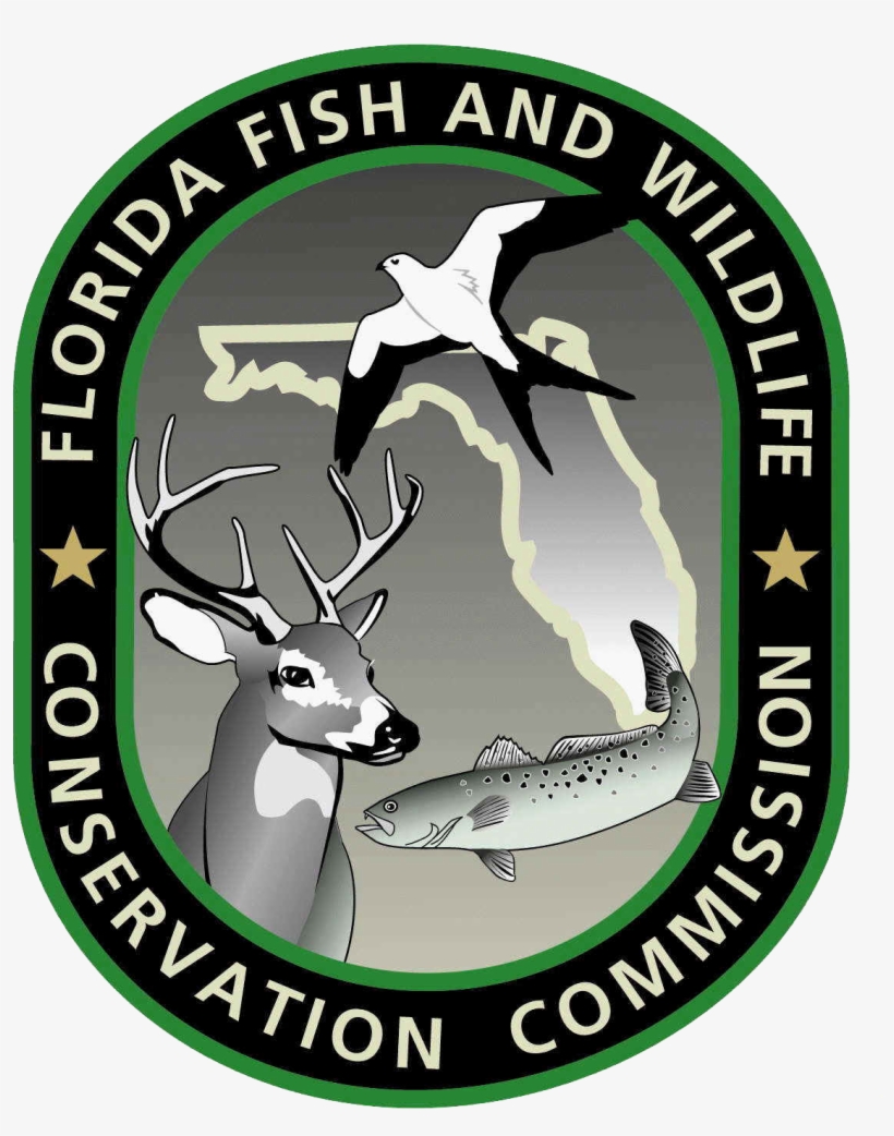 Fwc-logo Copy - Florida Fish And Wildlife Conservation Commission, transparent png #4968584
