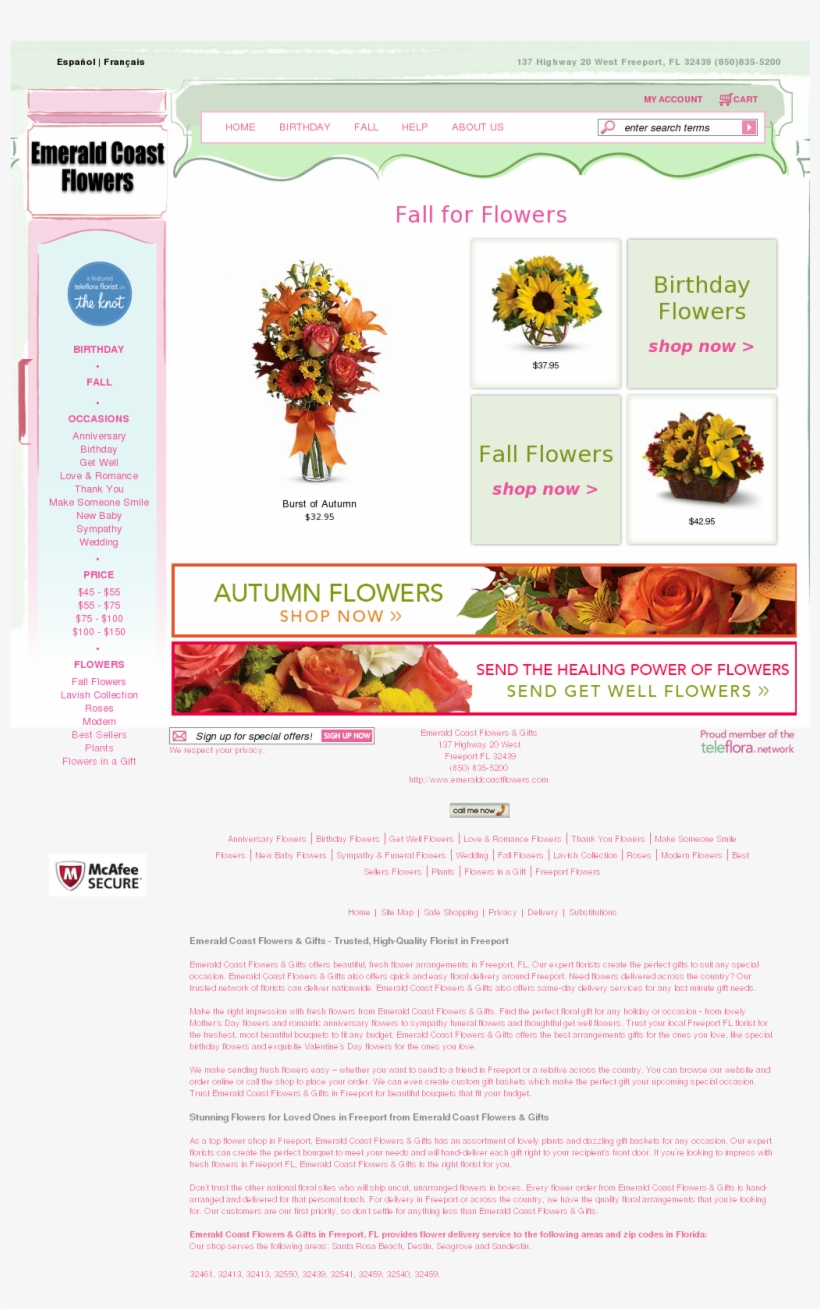 Emerald Coast Flowers & Gifts Competitors, Revenue - Burst Of Autumn Flowers Vase, transparent png #4968626