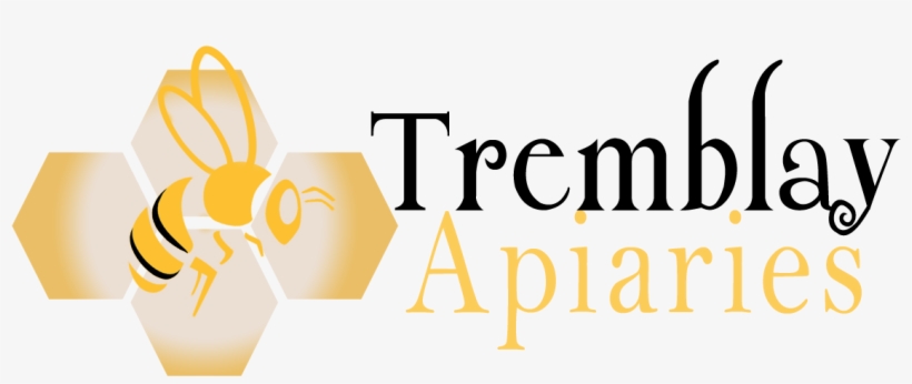 Graphic Design, transparent png #4968696
