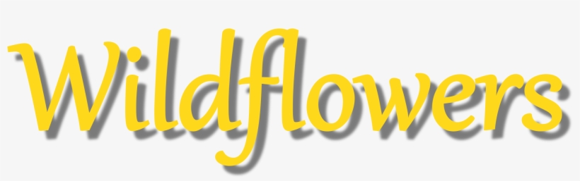 Wedding Flowers, Floral Arrangements, Leeds, Ilkley,, transparent png #4968842
