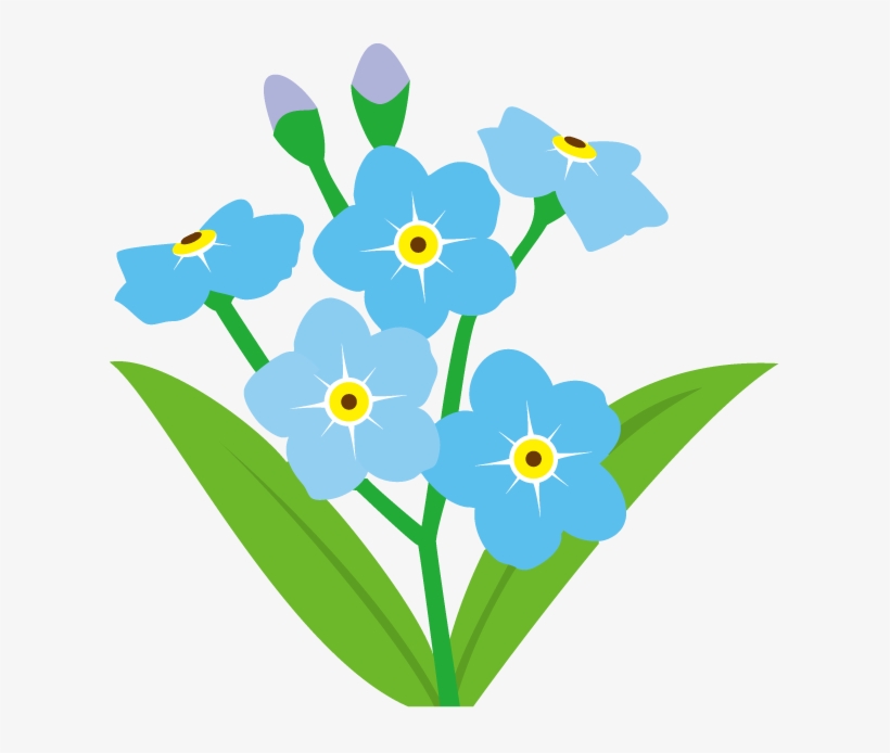Forget Me Not Png - Forget Me Not Flower Clipart, transparent png #4969267