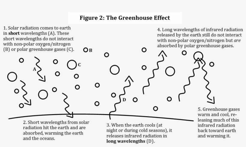 There Are A Couple Of Key Things To Understand Here - Diagram, transparent png #4969413