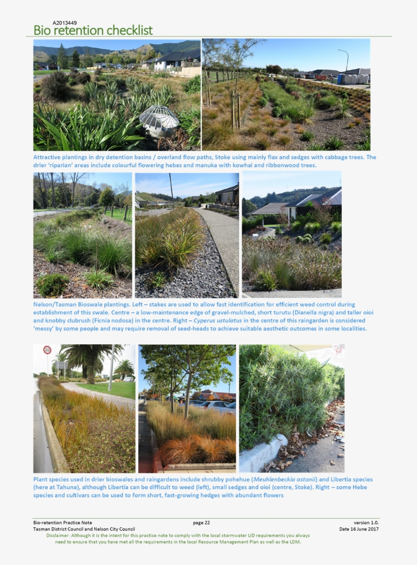 Pdf Creator - Attalea Speciosa, transparent png #4971427