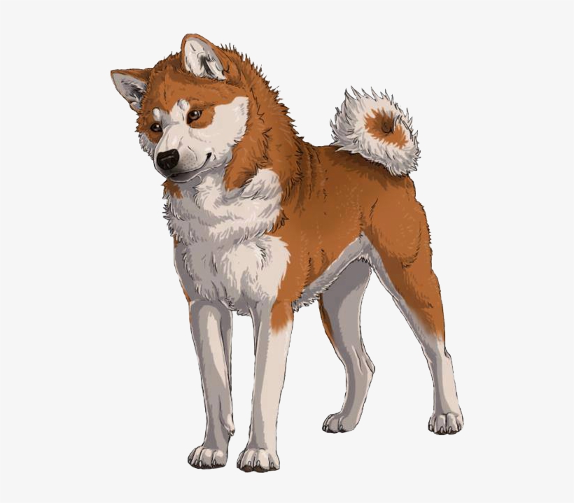 Love This Artwork American Akita, Inu, Dog Drawings, - Hachikō, transparent png #4971836