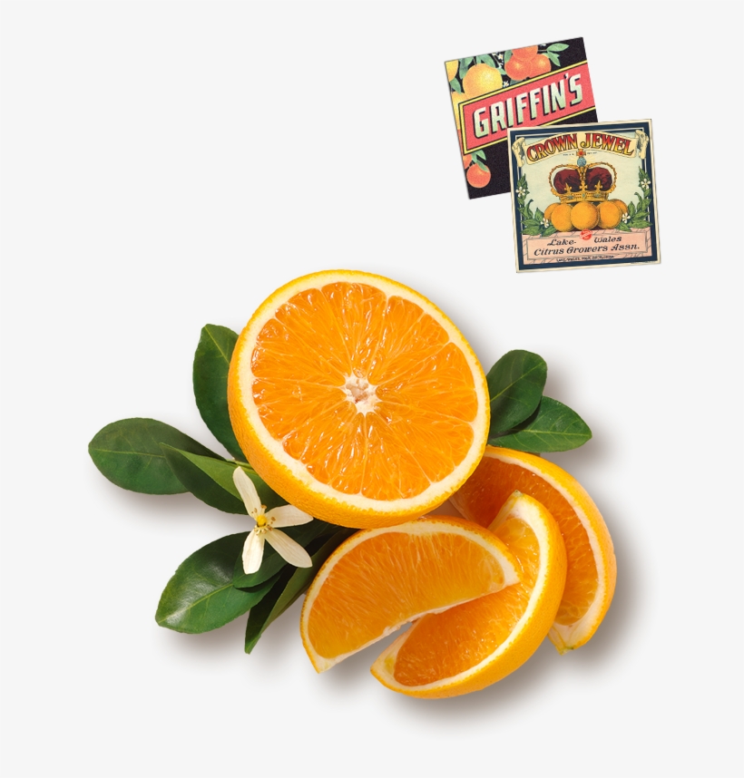 Orange Juice, transparent png #4972691
