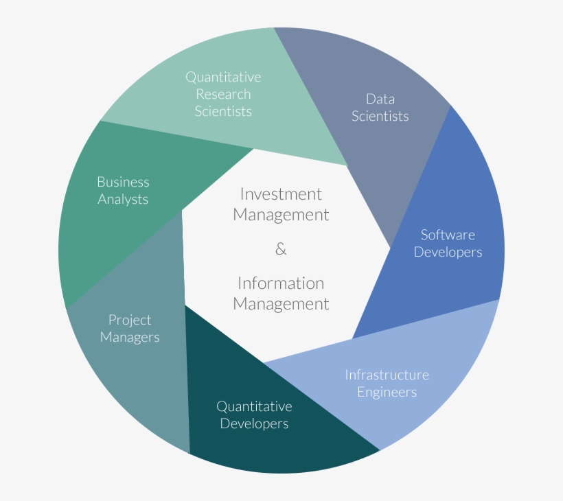 Expertise Diagram Ali Ahmed 2018 01 05t10 - Circle, transparent png #4975725