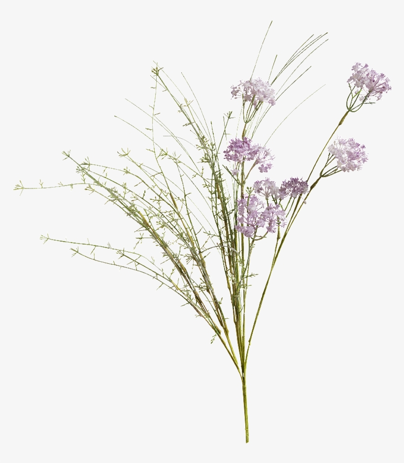 Shady Meadow Flower Lilac - Meadow Flowers Png Transparent, transparent png #4977431