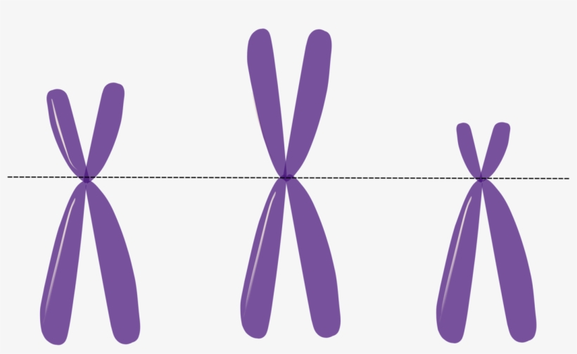 Clip Free Download Genetics Heredity Dna Free - Rett Syndrome Clip Art, transparent png #4977561