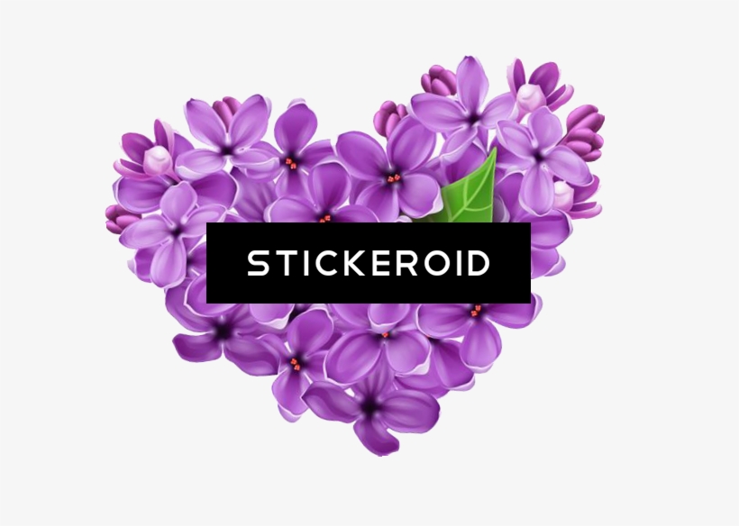 Lilac Flowers - Purple Vector Flower Png, transparent png #4977562