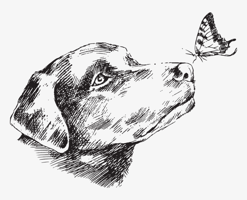 Dog, transparent png #4979489