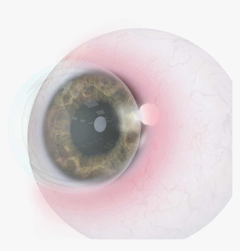 Circle, transparent png #4979626