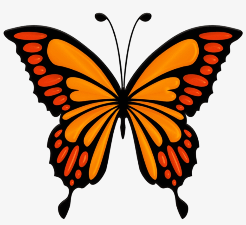 Free Png Orange Butterfly Png Images Transparent - Colorful Butterfly, transparent png #4979874