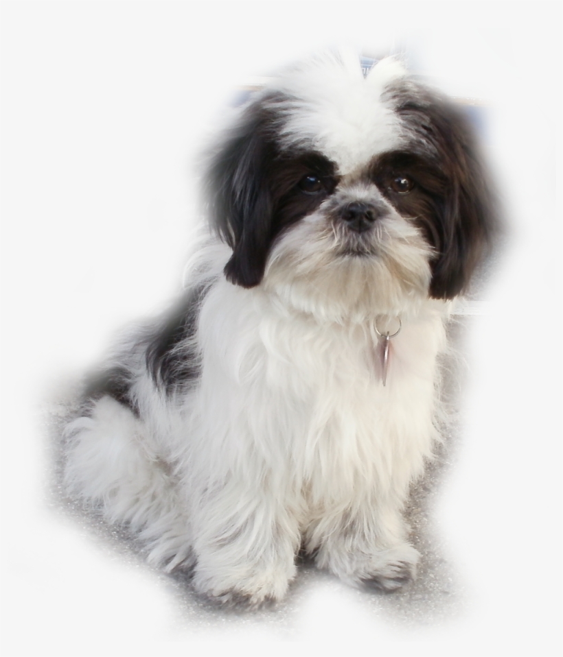 Locksmith Bay Area - 922 Terminal Way San Carlos Ca 94070, transparent png #4979940