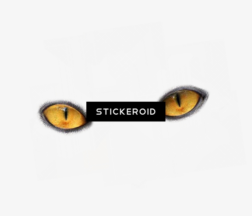 Eye Eyes - Black Cat, transparent png #4983846