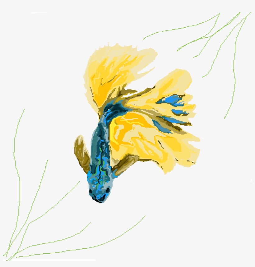 Betta Feeesh - Illustration, transparent png #4983933