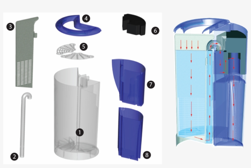 Betta Flora, transparent png #4983992