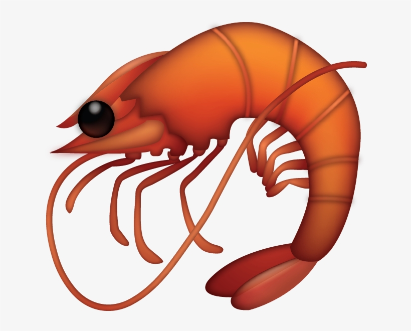 Shrimp Emoji - Free Transparent PNG Download - PNGkey