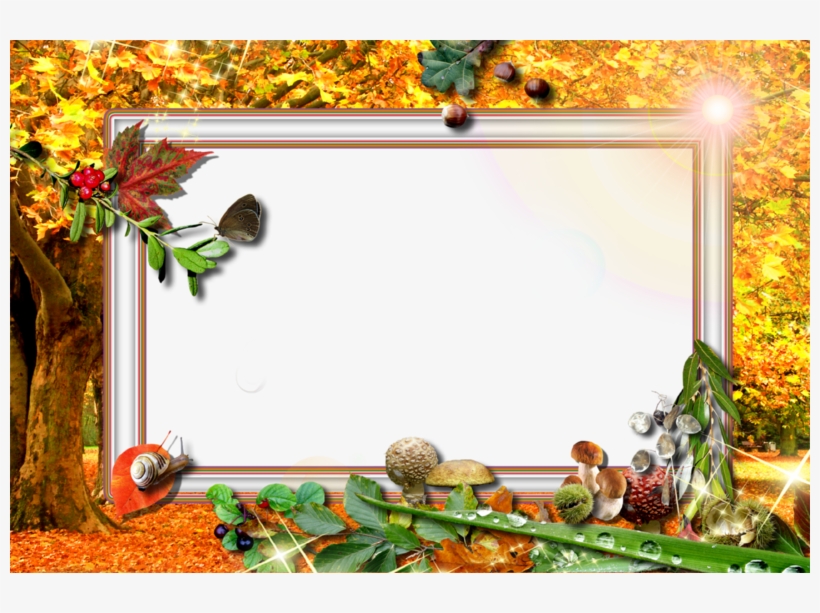 Cadre Nature Png - Seasons By Gloria Edwards, transparent png #4985168