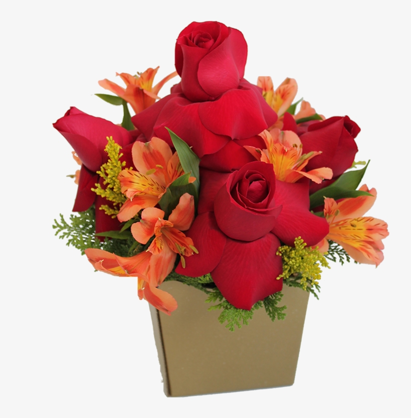 Arranjo De Rosas Vermelhas E Astromélias - Red, transparent png #4987931