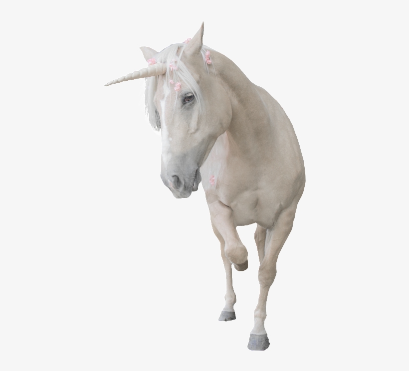 Unicorn Png Transparent That Is Running - White Dragon Horse, transparent png #4988116