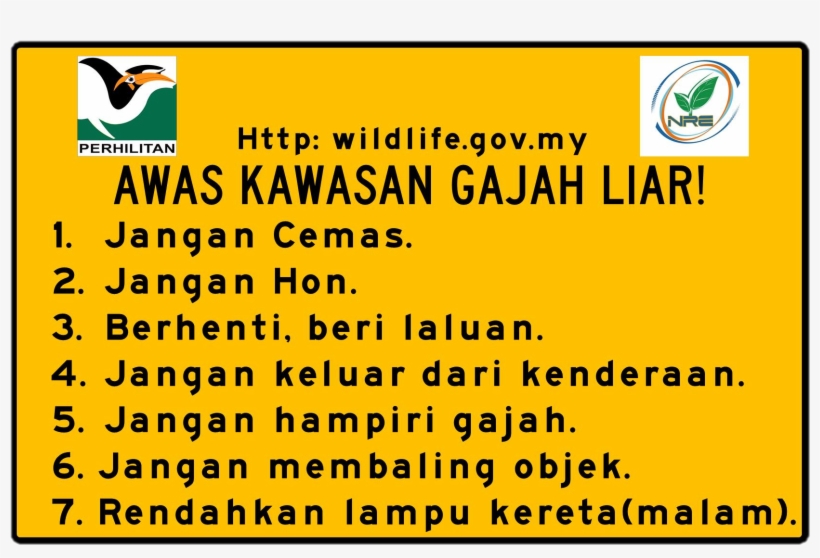 Gajah Liar Melintas - Department Of Wildlife And National Parks, transparent png #4988859