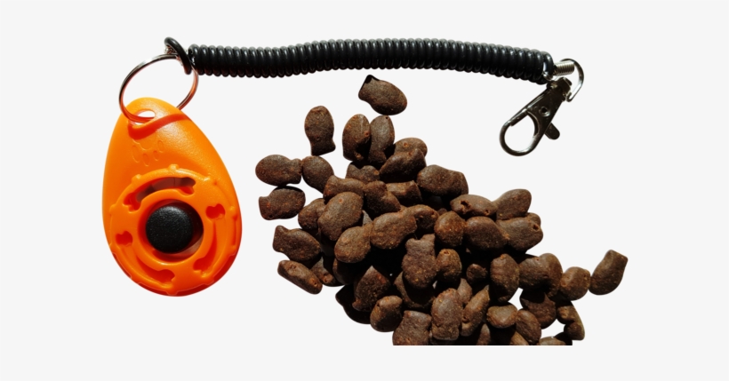 Dog Clicker With Fish Treats For Training - Dog, transparent png #4989797