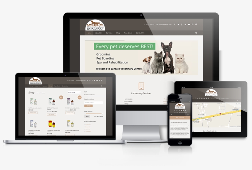 Responsive Showcase Presentation - Obraz Na Plátně 8mood Cats And Dogs, 50 X 40 Cm, transparent png #4990929