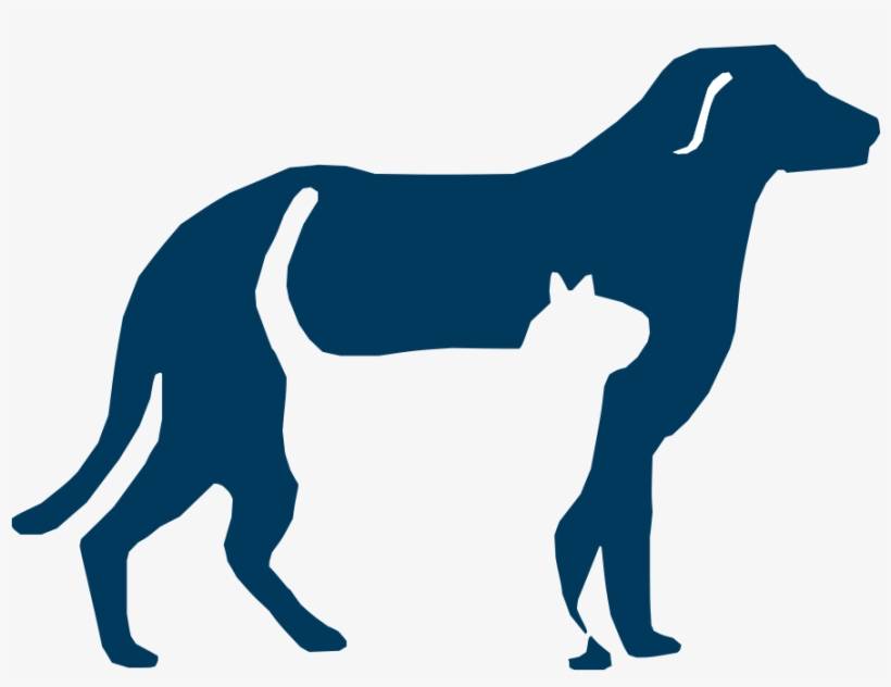 Veterinary Technician Program Icon - Humane Society Of San Bernardino, transparent png #4992861