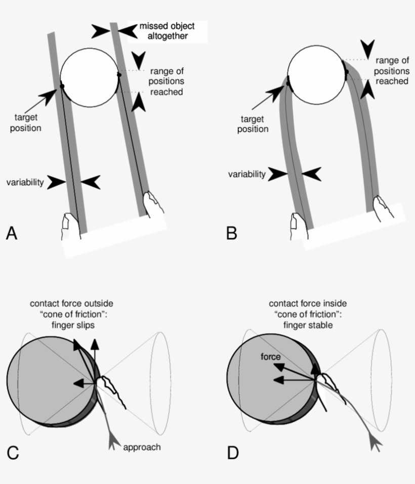 Schematic Representation Of The Trajectories Of Thumb - Spatial Variability, transparent png #4995538