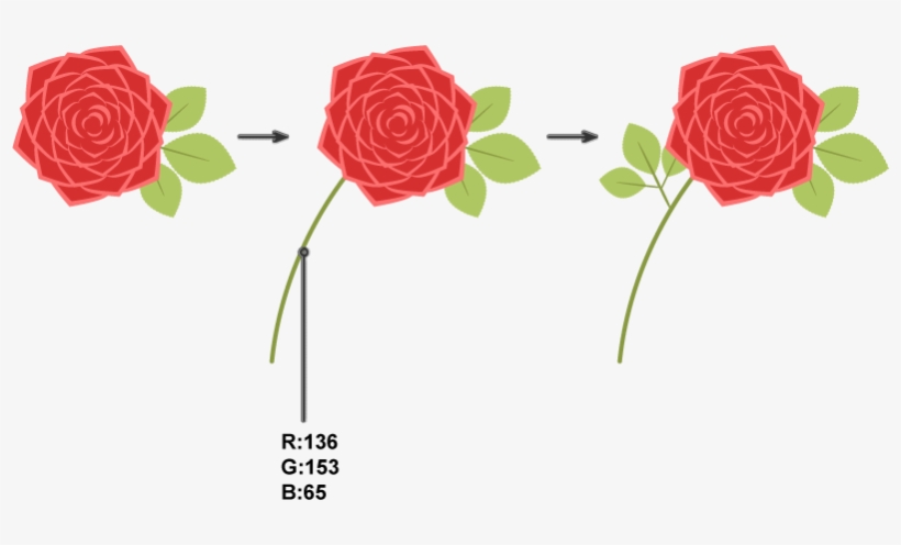 How To Create The Rose - Garden Roses, transparent png #4997412