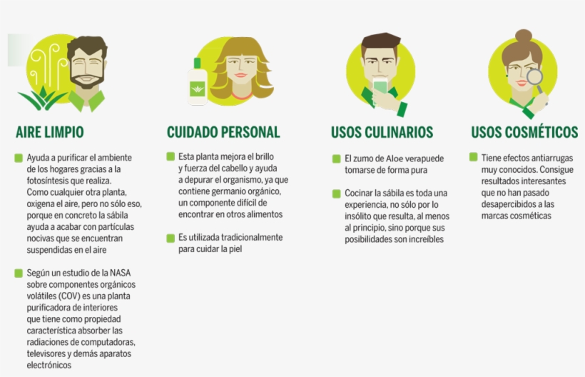 Estímulos A La Innovación Del Consejo Nacional De Ciencia - Cartoon, transparent png #4998280