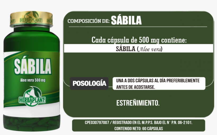 Sabila - Herbaplant, transparent png #4998600