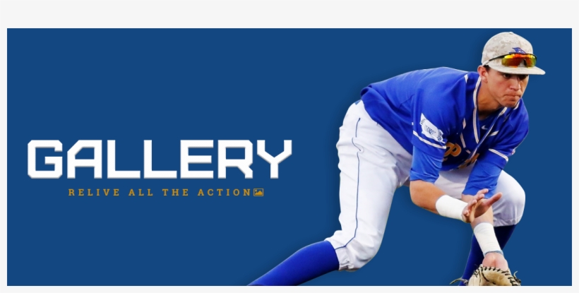 Photo Gallery - Photograph, transparent png #4999923