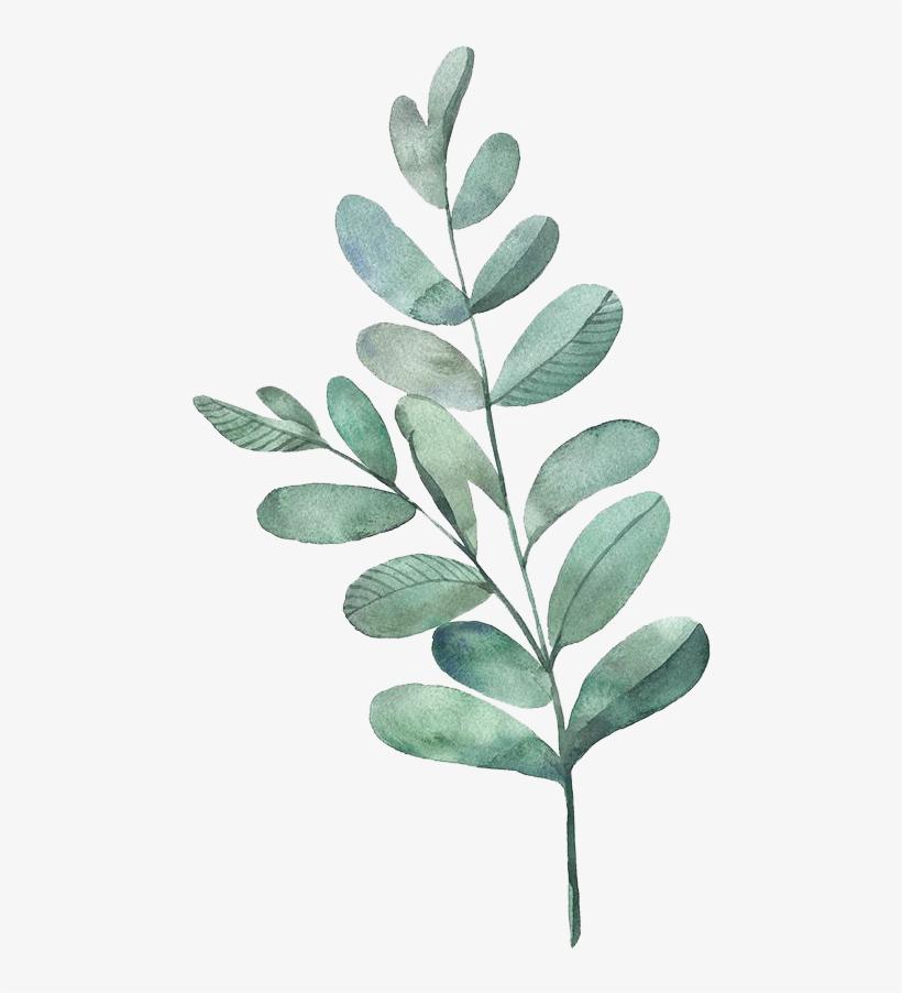 Tealdividerpngg - Watercolour Green Leaves Png, transparent png #50032