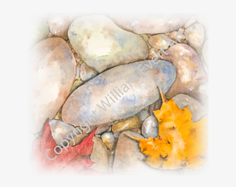 Content On This Page Requires A Newer Version Of Adobe - Watercolor Paint, transparent png #50088