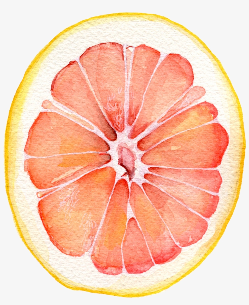 Watercolor - Grapefruit - Grapefruit Watercolor, transparent png #50369