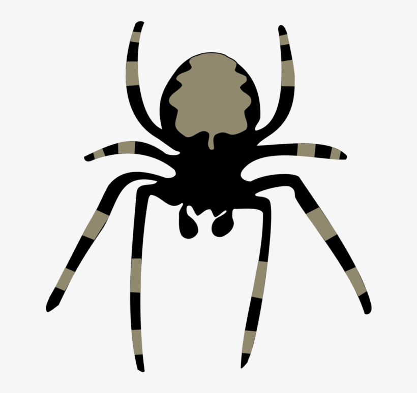 28 Collection Of Animated Spider Clipart - Spider Clipart, transparent png #50846