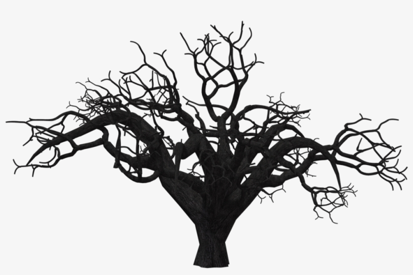 Transparent Tree - Scary Tree Png, transparent png #50897