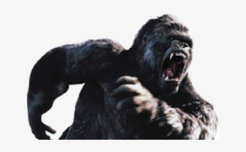 Gorilla Transparent Png - New York City, transparent png #50998