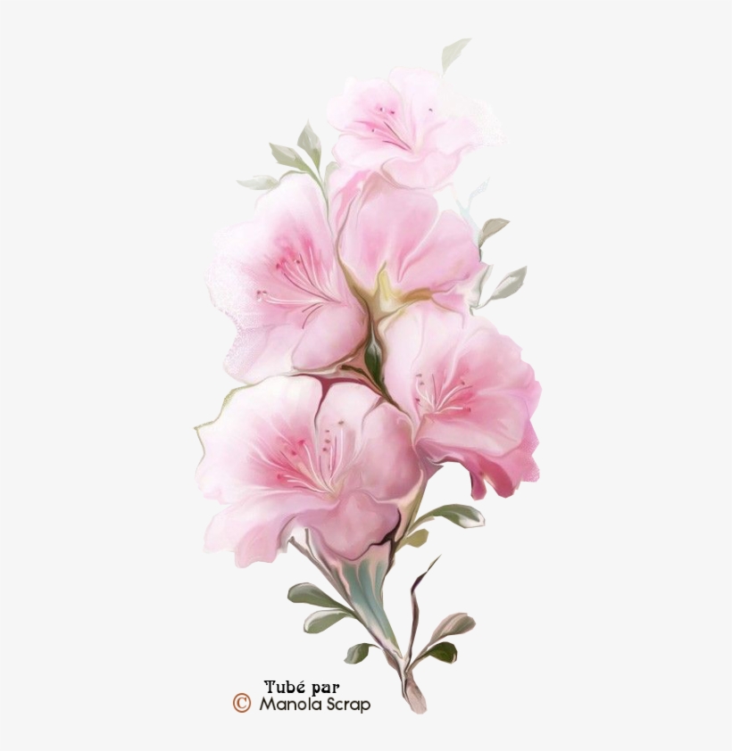 Tubes Fleurs Page - 2010, transparent png #51020