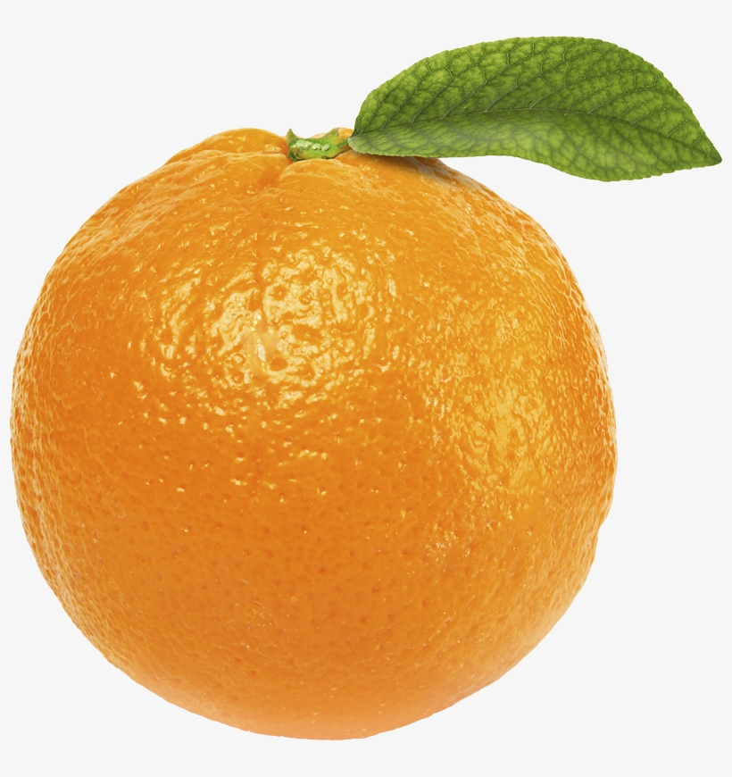 Orange Png Image - Transparent Transparent Background Orange, transparent png #51195