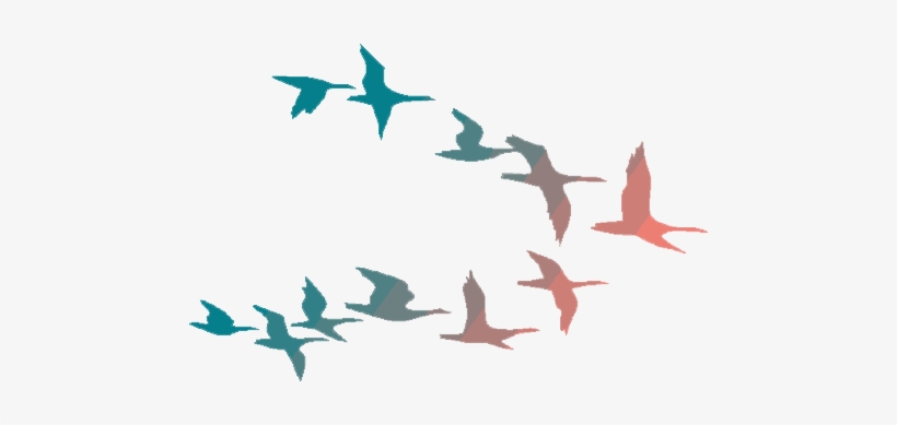 Flying Birds Png Png Library Download - Colorful Flying Birds Png, transparent png #51408