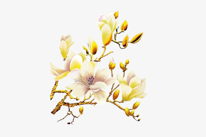 Gardenia Vector Watercolor White Orchid Flower Png Free Transparent Png Download Pngkey