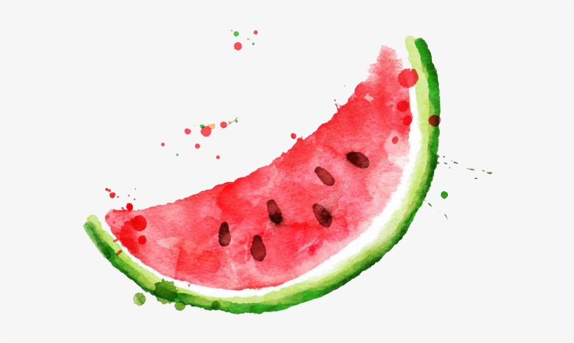 Frutti Di Bosco Fruit - Watercolor Watermelon Vector, transparent png #51966