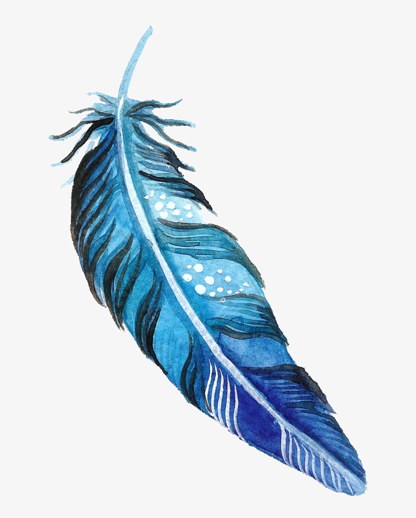 This Graphics Is Aquamarine Feather Transparent Decorative - Portable Network Graphics, transparent png #51967