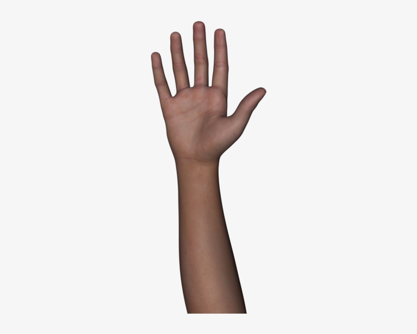 Free Stock Images Body Parts - Sign Language, transparent png #51984