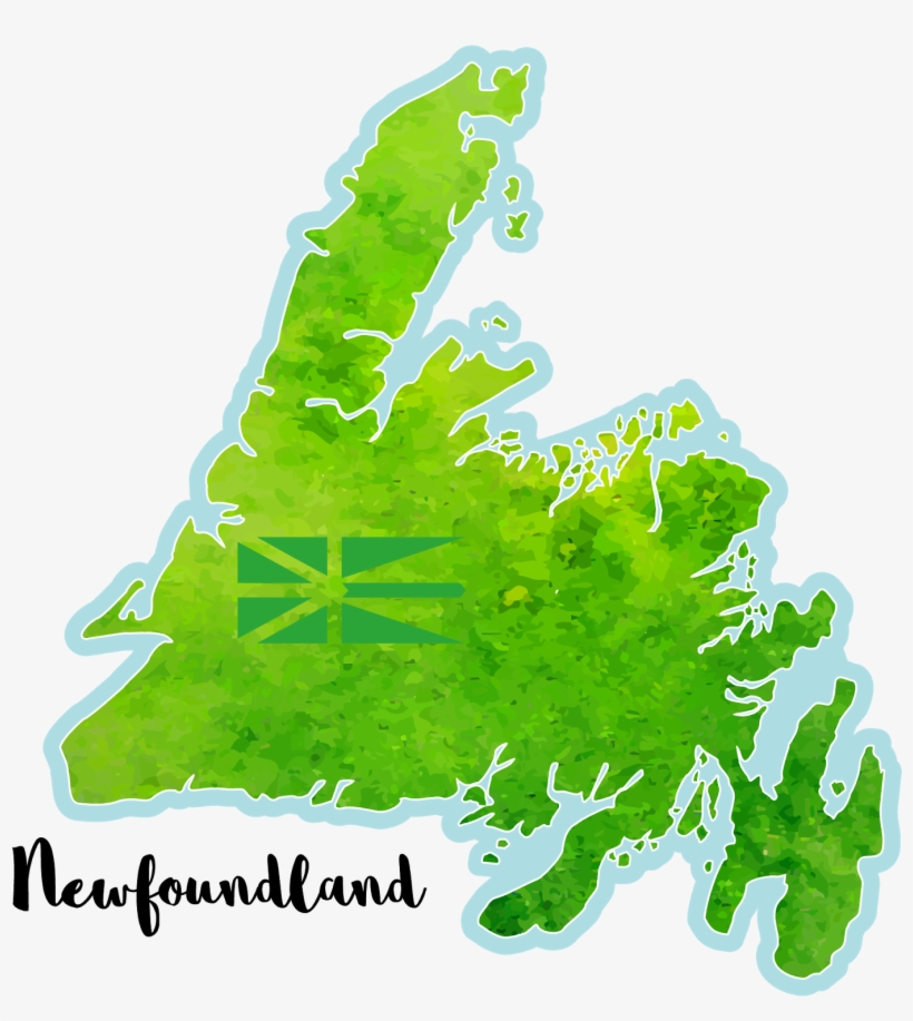 Check Out My New Newfoundland Watercolor Design For - Illustration, transparent png #52030